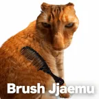 Brush Jjaemu