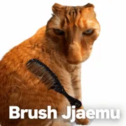 Brush Jjaemu